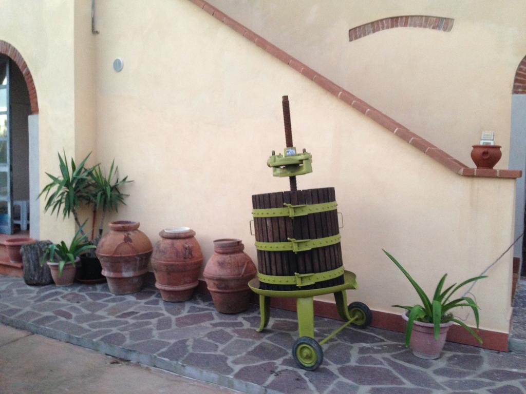 Podere Di Valli Santa Maria a Monte Exterior foto
